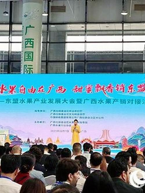 微信图片_20251107183628_95_6.jpg 微信图片_20251107183628_95_6.jpg